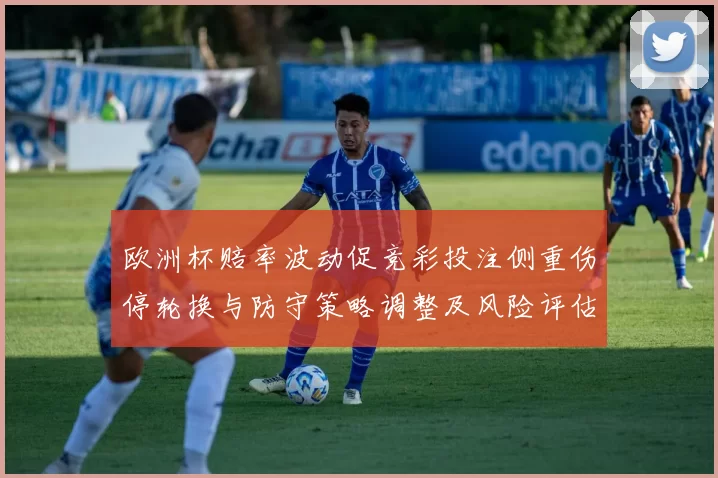 欧洲杯赔率波动促竞彩投注侧重伤停轮换与防守策略调整及风险评估